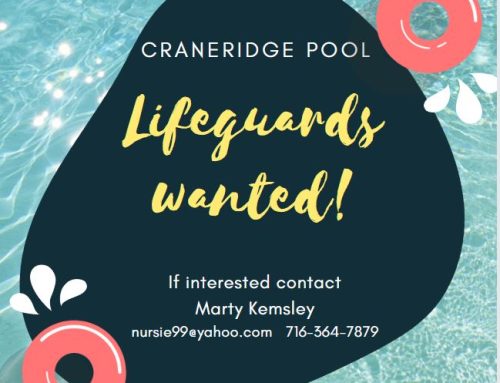 Lifeguards for 2024 Summer Season wanted!