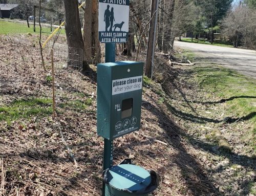 ATTENTION DOG OWNERS: