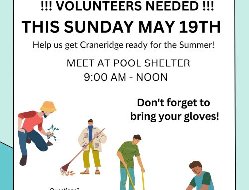 Join your neighbors at the Craneridge Spring-Clean-up on Sunday, May 19th, from 9:00 am – 12:00 pm.