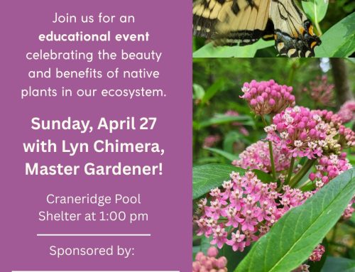 Learn About Native Plants with a Master Gardener! 4/27 @ 1pm – Pool Shelter