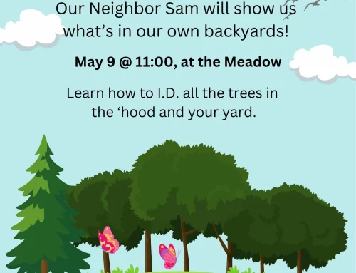 Learn About Our Craneridge Trees